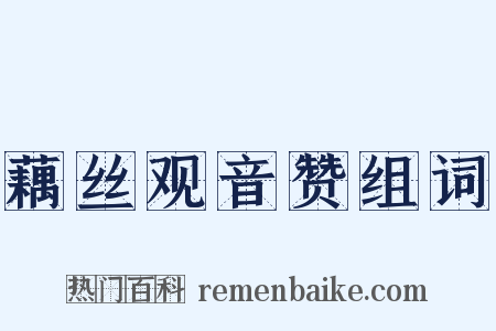 藕丝观音赞组词是什么意思的图片